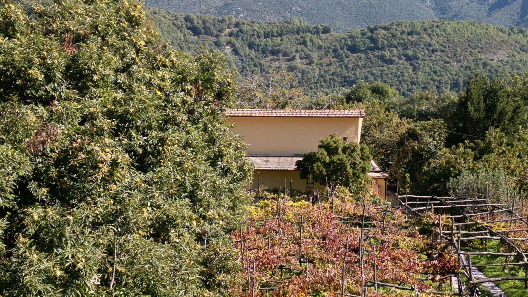 Villa Casa Giordano Tramonti Exterior foto